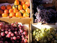 persimmons & grapes (c)2006 AEC