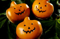 punkin doughnuts!