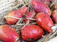 prickly pears (c)2006 AEC