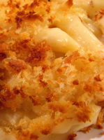 mac & cheese (c)2007 AEC