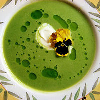 Green Soup (c)2007 AEC **All Rights Reserved**