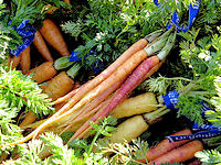 carrots (c)2007 AEC